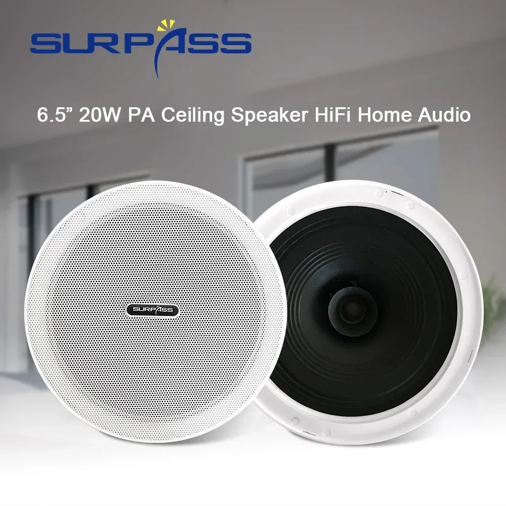 Home Cinema System - 방진 프레임리스 천장 스피커, PA 오디오,