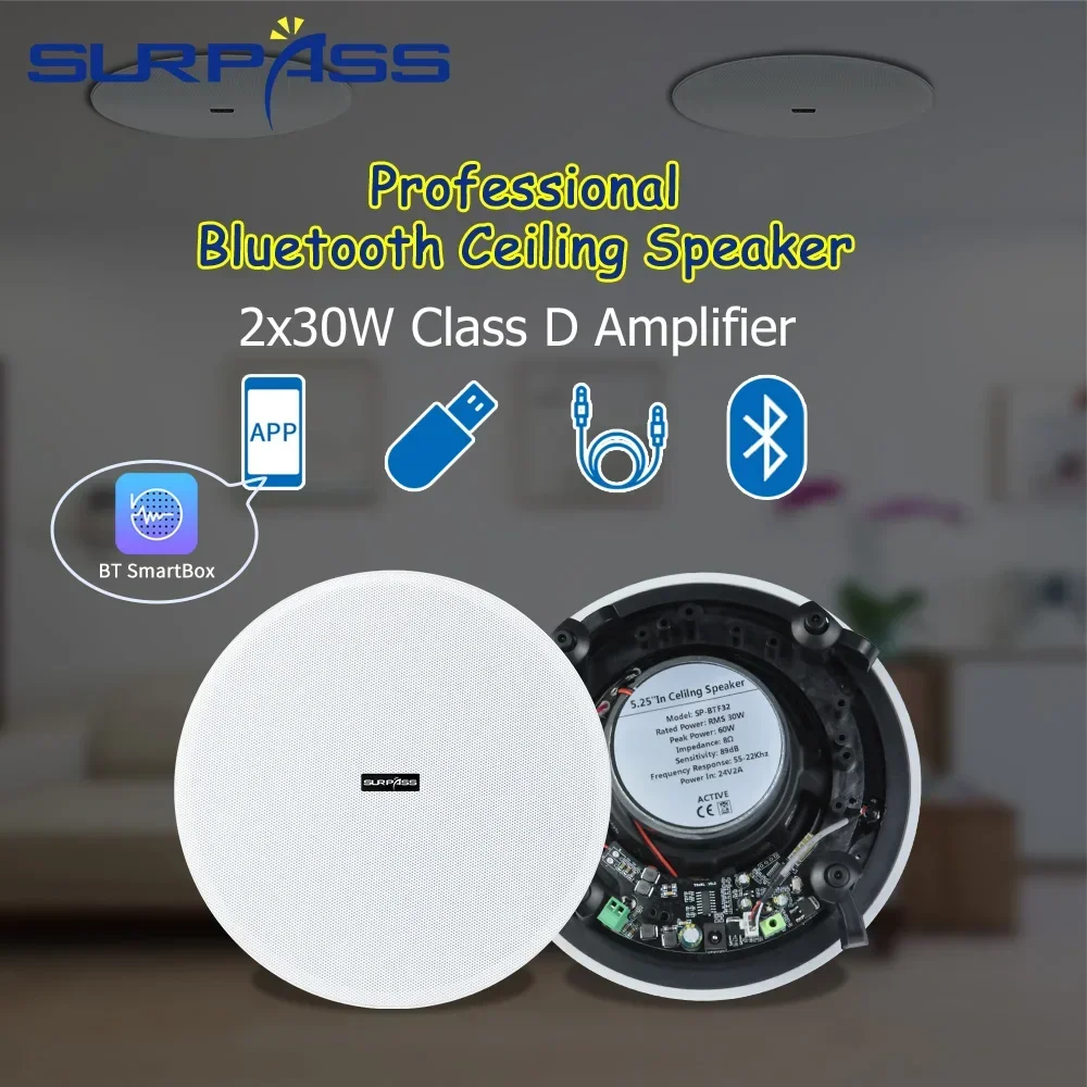 Home Cinema Bluetooth 5.1 - 천장 블루투스 스피커 5.25'' 내장형 2X30W