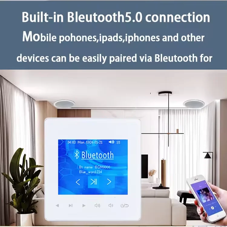 홈 블루투스 벽 증폭기 배경 음악 호스트 제어 시스템  - Home Cinema System 리뷰 및 가격