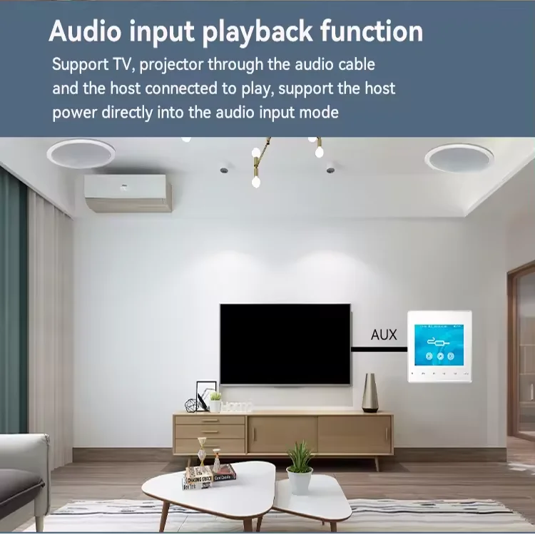 홈 블루투스 벽 증폭기 배경 음악 호스트 제어 시스템  - Home Cinema System 리뷰 및 가격