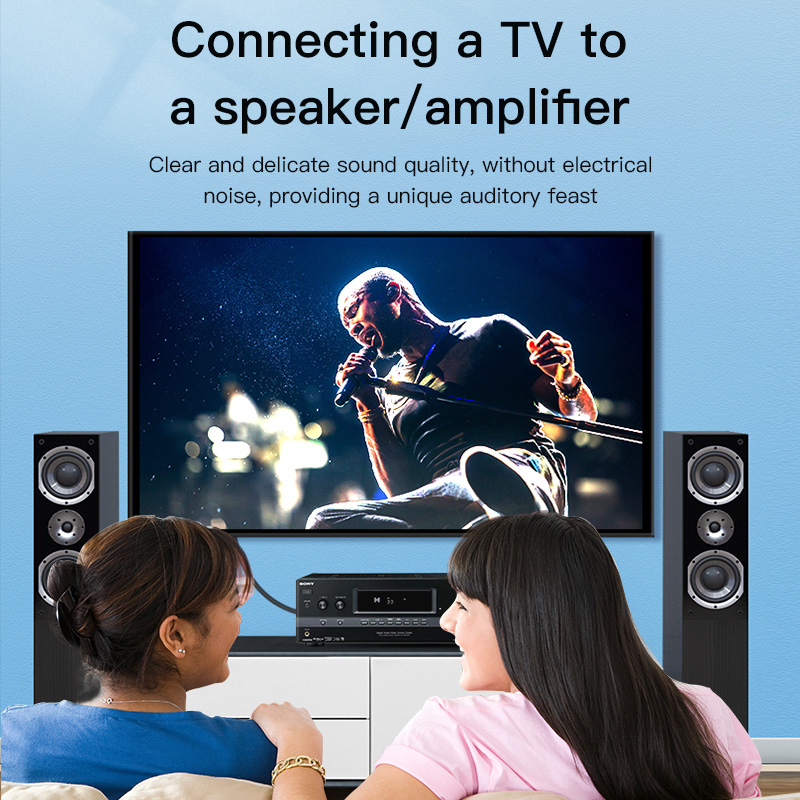 CHOSEAL RCA 케이블 디지털 동축 오디오 케이블 - Home Cinema Furniture 리뷰 및 가격